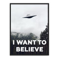 X Files I Want To Believe Poster 12"X16" Z102