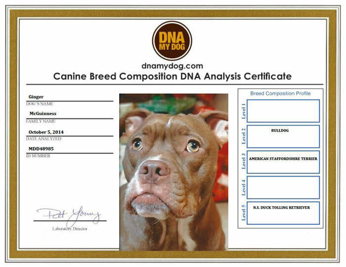 Breed Identification Test Kit E329