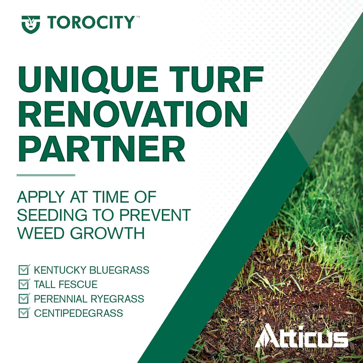 16 oz Turf Herbicide (2 x 8 oz Bottles) Q862450