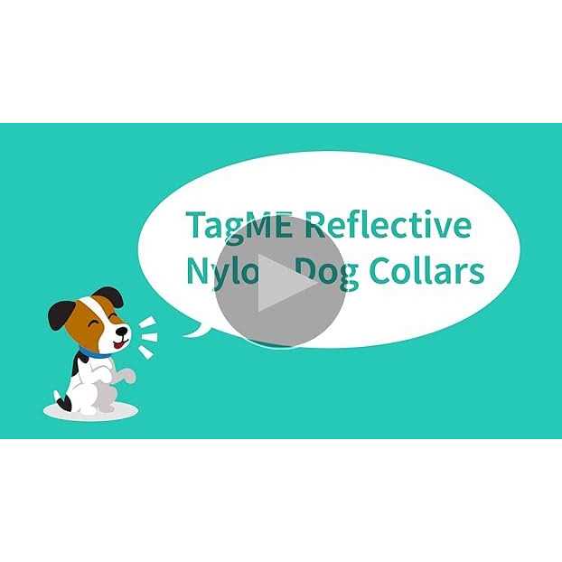 Reflective Nylon Adjustable Dog Collar with Quick Release Buckle P665