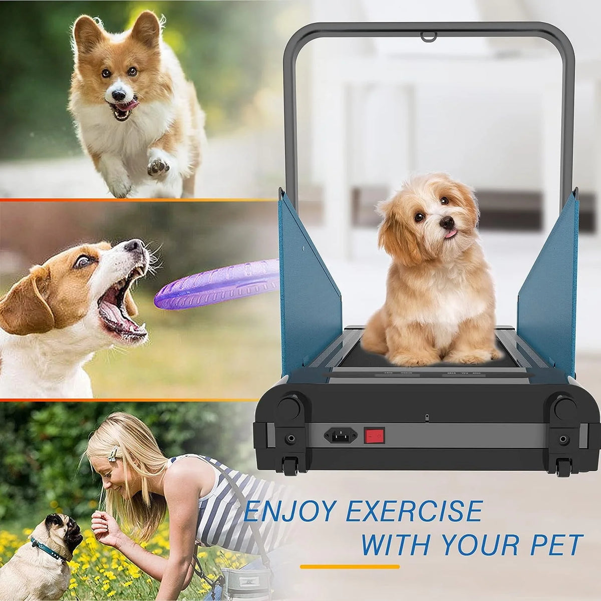 Folding Dog Treadmill 220lbs Weight Capacity R26640