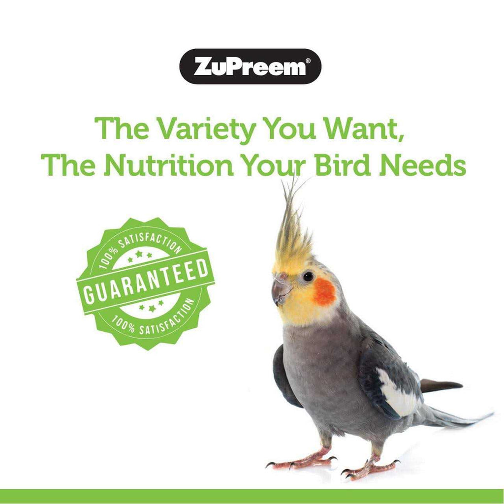 Medium Birds Bird Food C18586