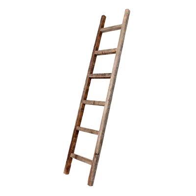 Gray Wood Ladder Bookcase G848668