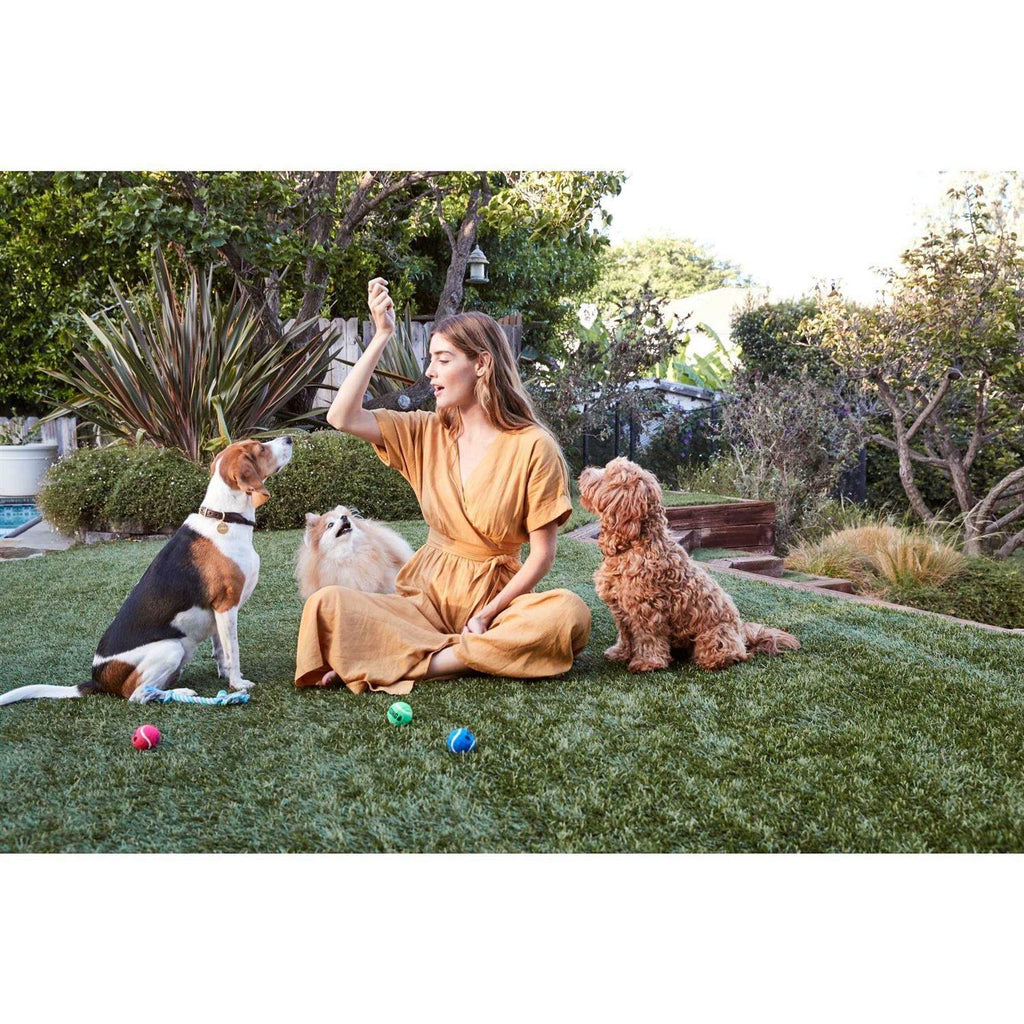 Beef Jerky Dog Treats M77072