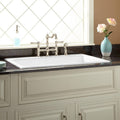 36x22 Drop in Single Basin Cast Iron Kitchen Sink Z7867