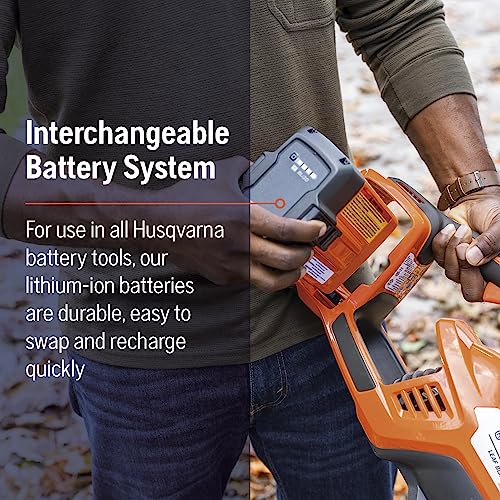 Leaf Blower, 200-MPH 800-CFM, 40V Lithium-Ion Battery and Charger Included I88186