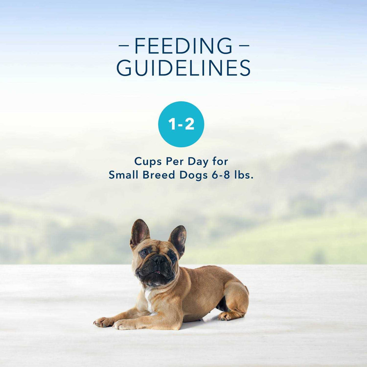 Chicken Flavor Pate Small Breed Dog Food W208494