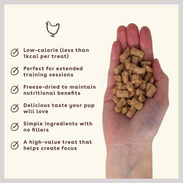 Chicken Freeze-Dried Dog Treats P31605
