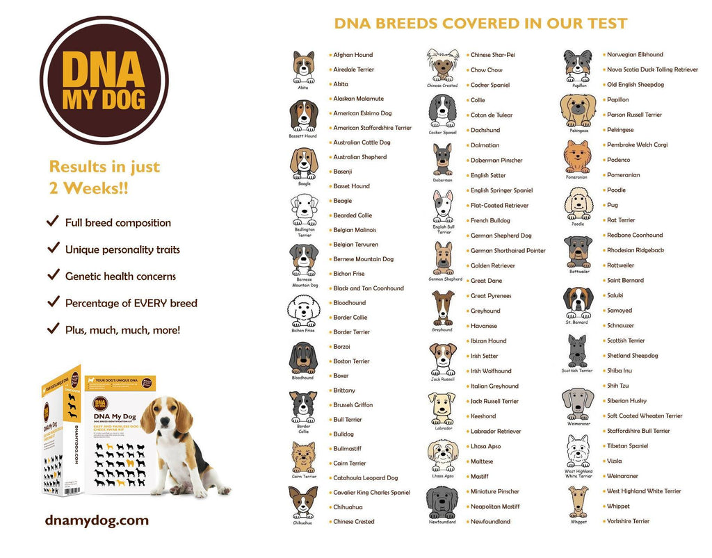 Breed Identification Test Kit E329