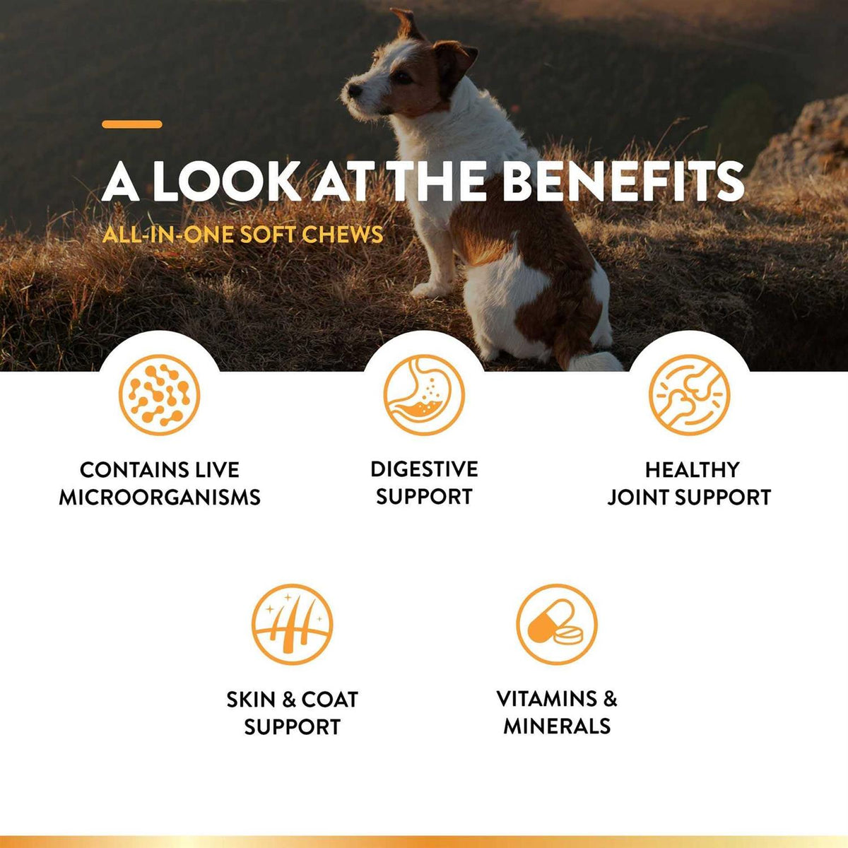 Dog Supplement H724367