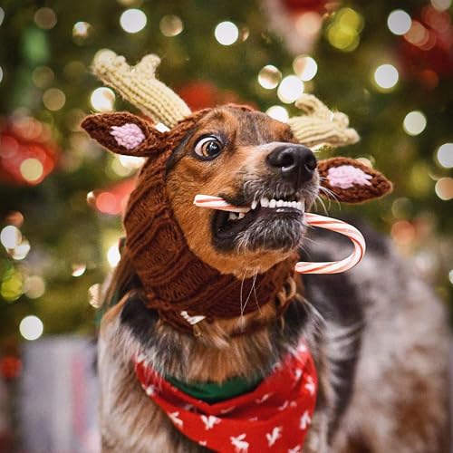 Knit Deer Antler Snood Wrap for Pets M82023