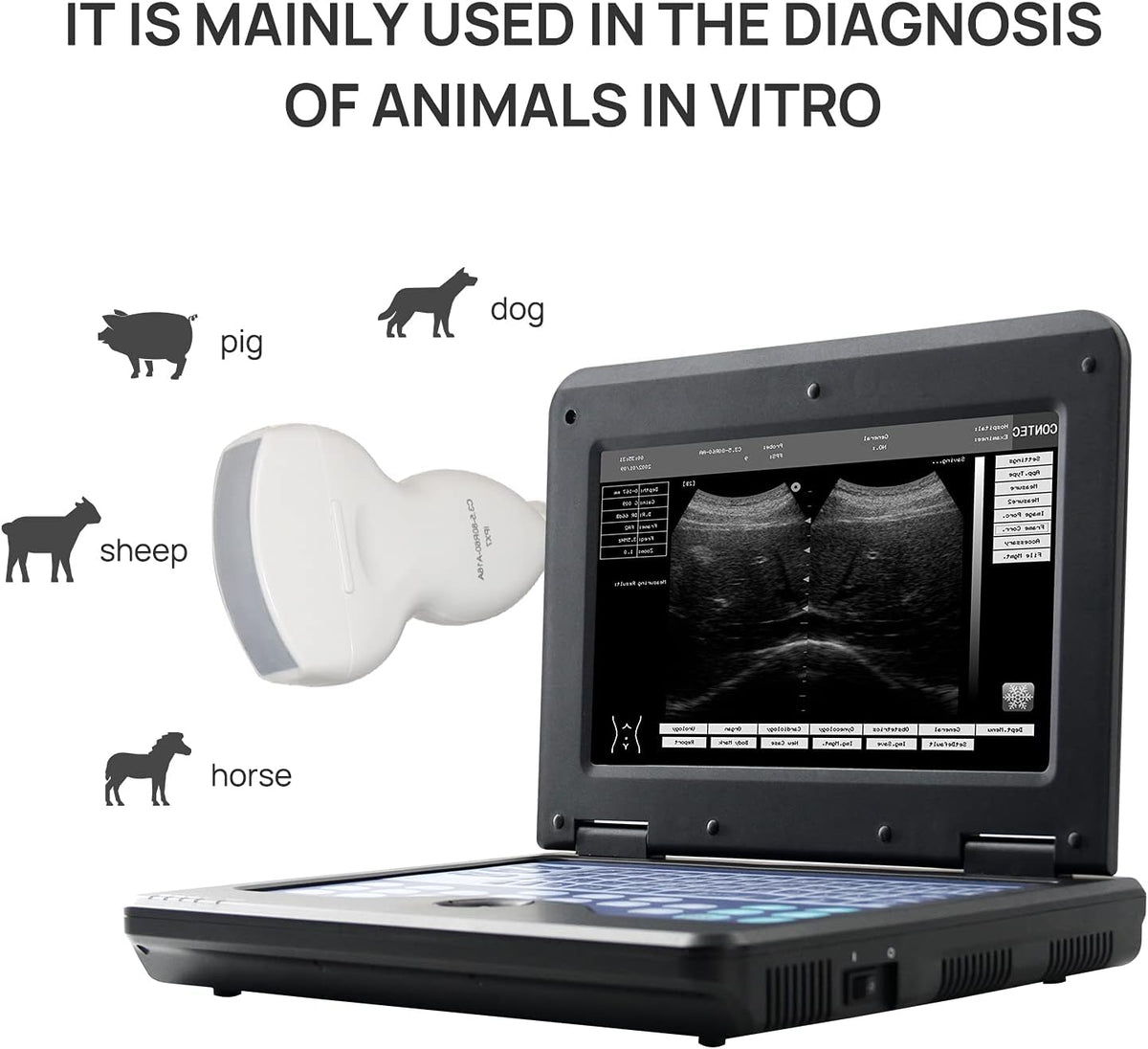 Portable Laptop B-Ultrasound Scanner Machine for Horse/Equine/Sheep Big Animal Use Q70659