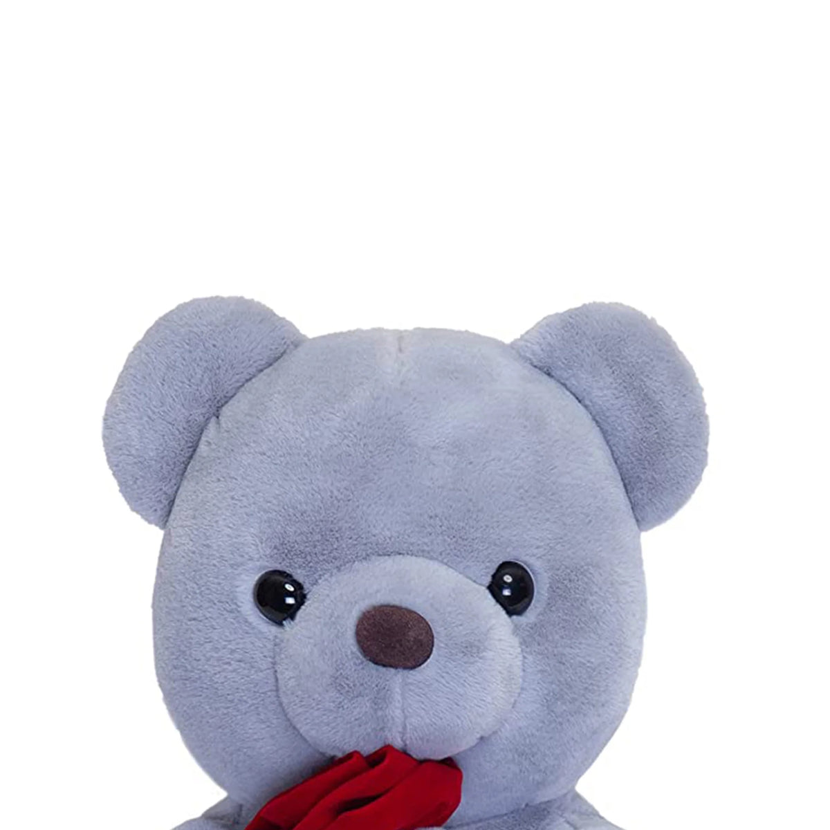 Soft Stuffed Teddy Bear Plush Toy X210