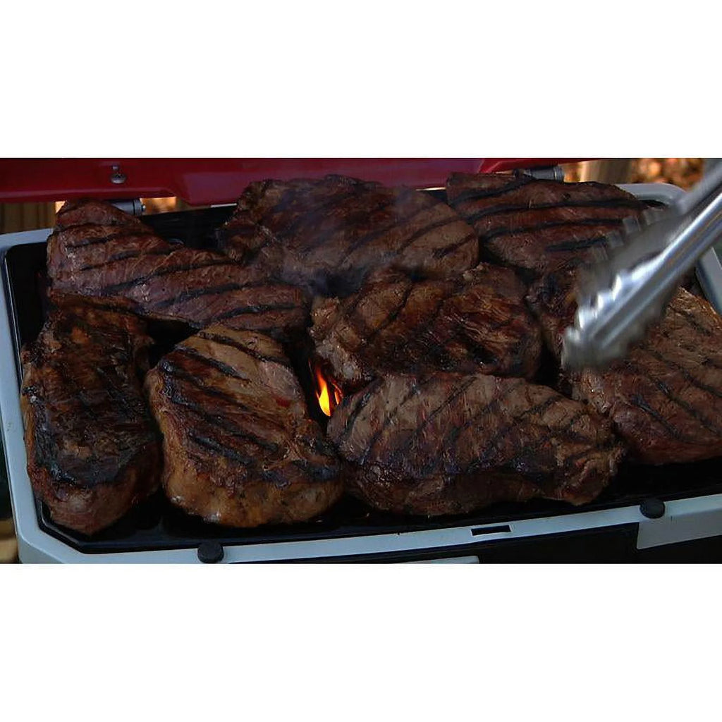 Portable LP Gas Grill W605