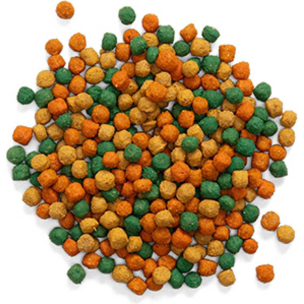 Medium Birds Bird Food C18586