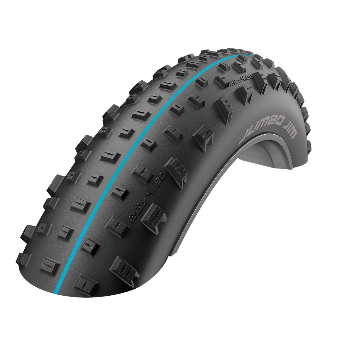 Tubeless Bike Tire Q879