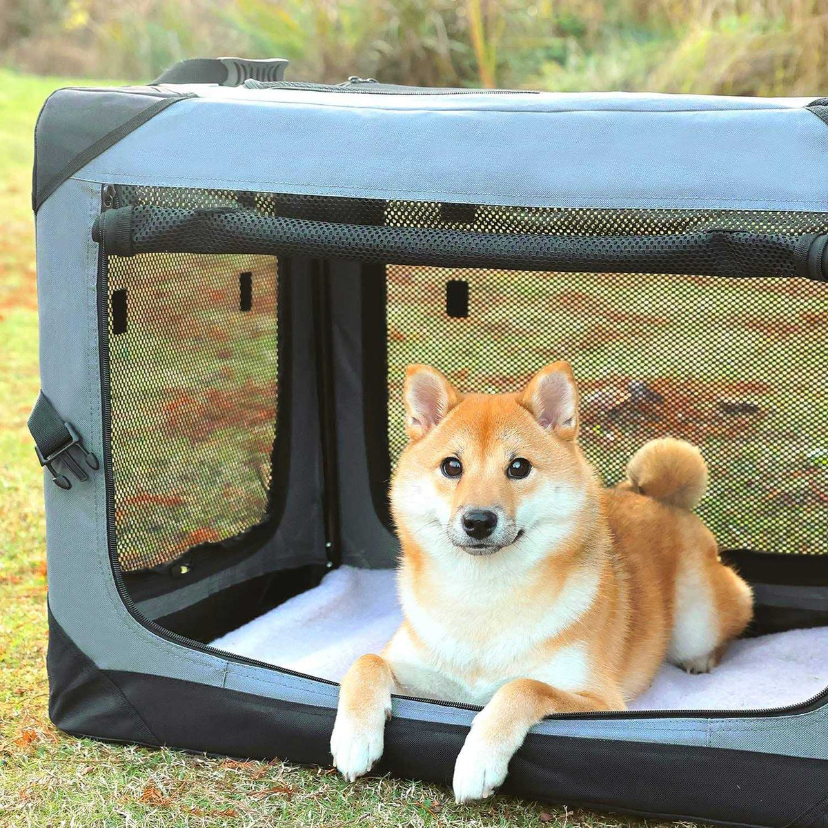 Collapsible 4-Door Soft Dog Crate R627