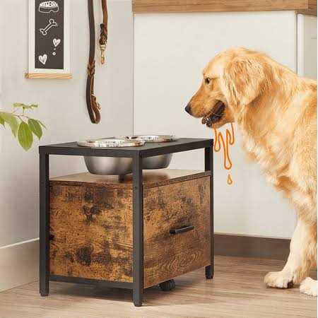 Elevated Dog Bowls with Storage Drawer 2 Bowls Y298