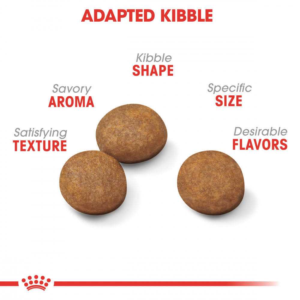 Large Breed Puppy Dry Dog Food R303