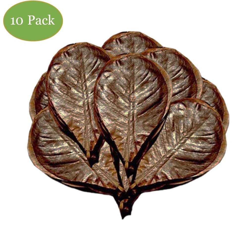 Hermit Crab & Snail Catappa Leaves G659283