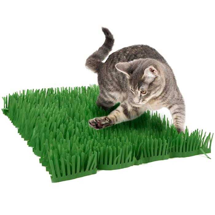 Cat Toy V440