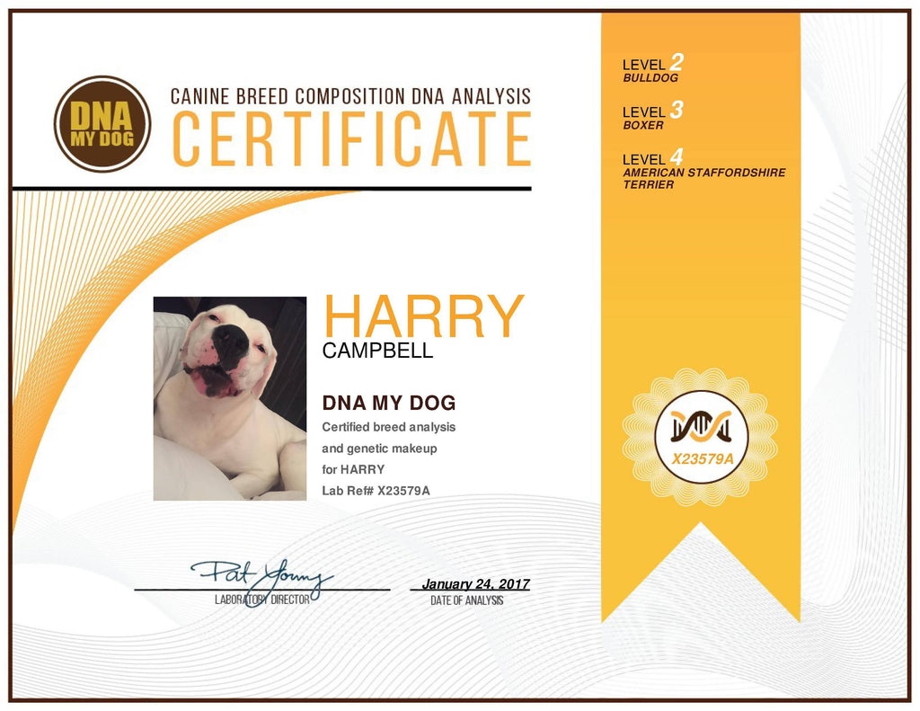 Breed Identification Test Kit E329