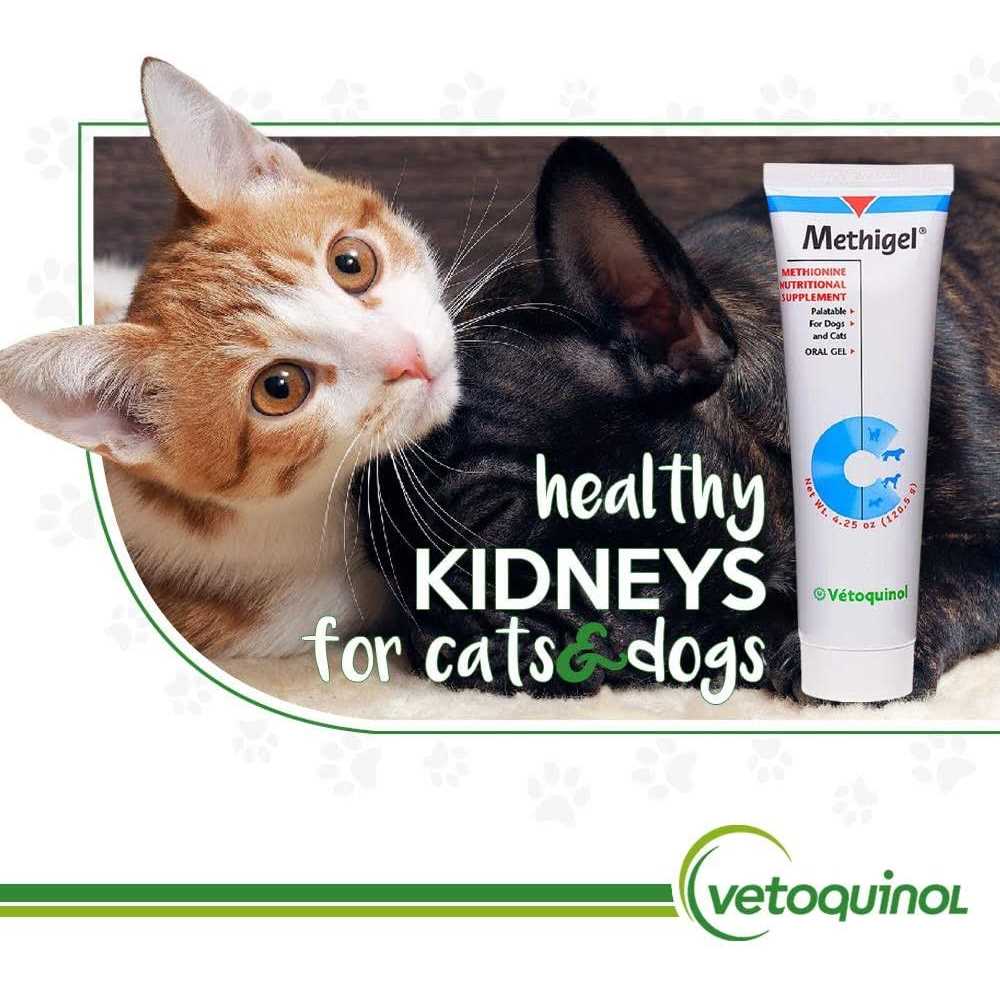 Urinary Acidifier for Dogs & Cats X269