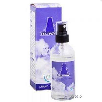 Spray 60ml J50568