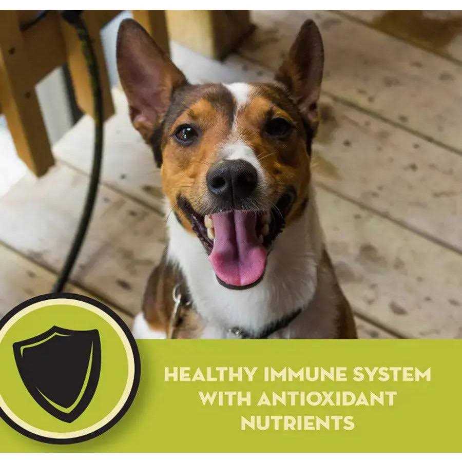 Natural Chicken Meal & Brown Rice Formula Adult Dry Dog Food K73933