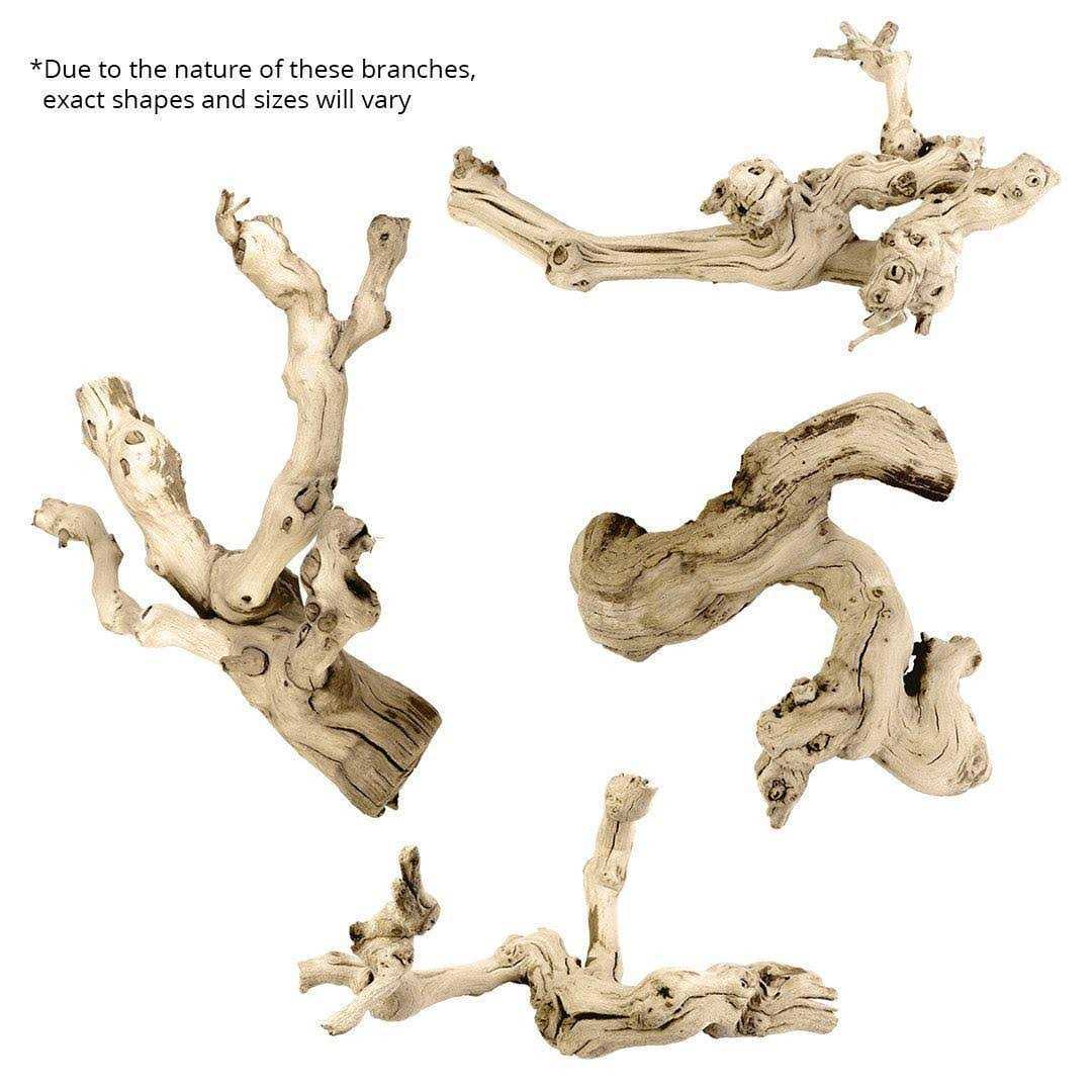Grapewood Branch F368