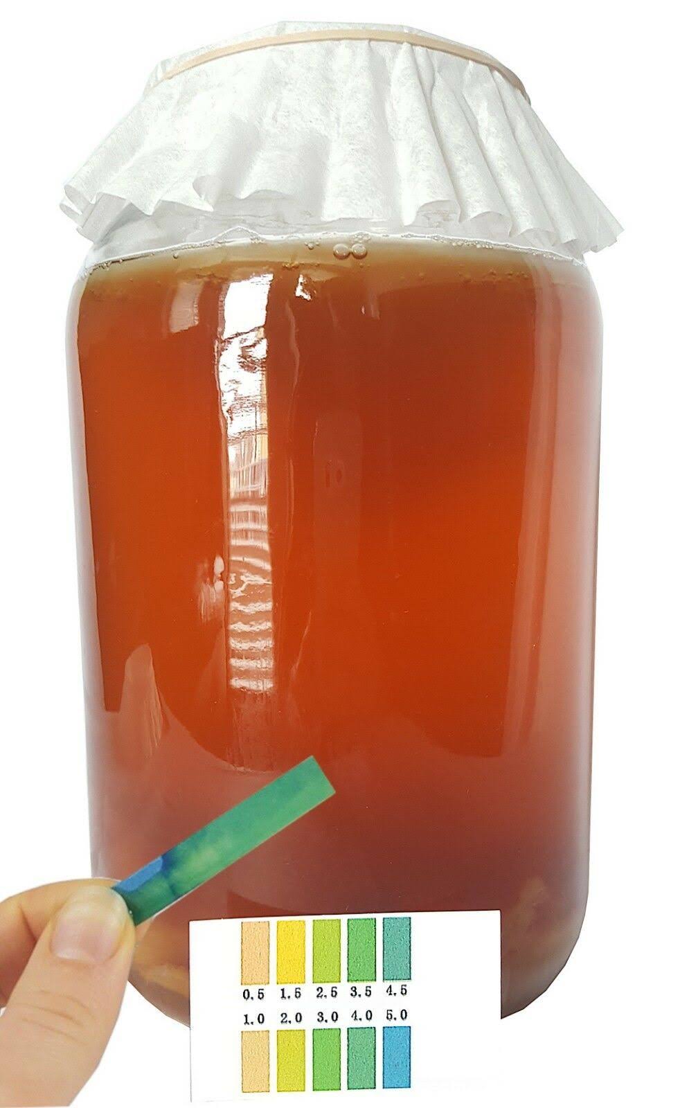Kombucha Starter Kit with SCOBY, Starter Tea, Organic Sugar, Gallon Glass Jar with Lid P542