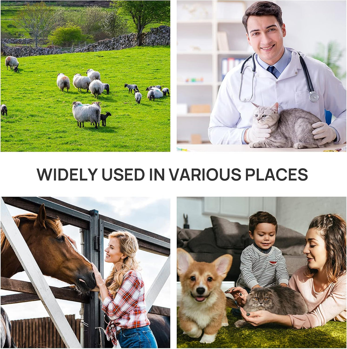 Portable Laptop B-Ultrasound Scanner Machine for Horse/Equine/Sheep Big Animal Use Q70659