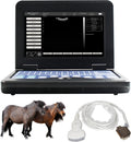 Portable Laptop B-Ultrasound Scanner Machine for Horse/Equine/Sheep Big Animal Use Q70659