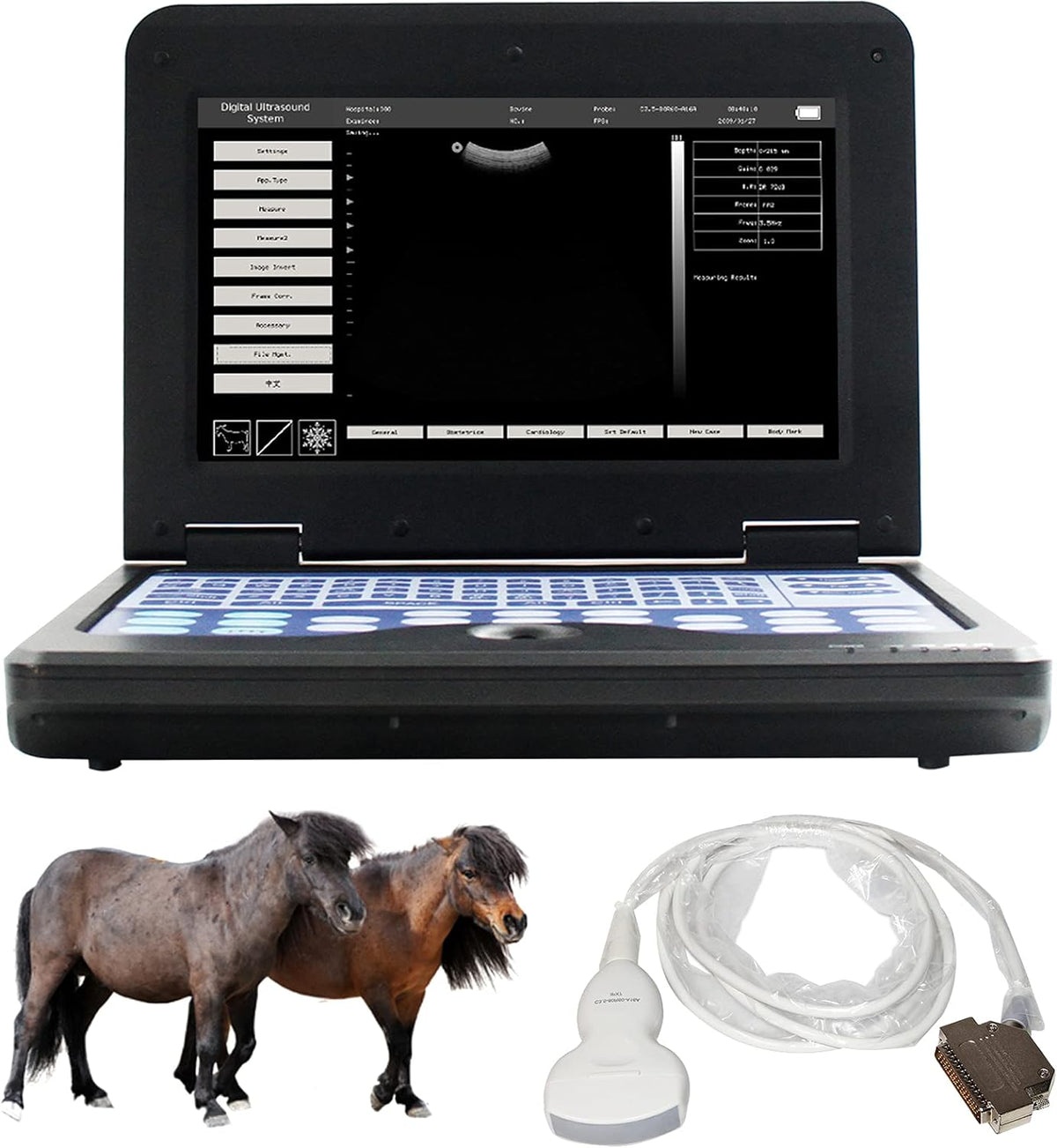 Portable Laptop B-Ultrasound Scanner Machine for Horse/Equine/Sheep Big Animal Use Q70659