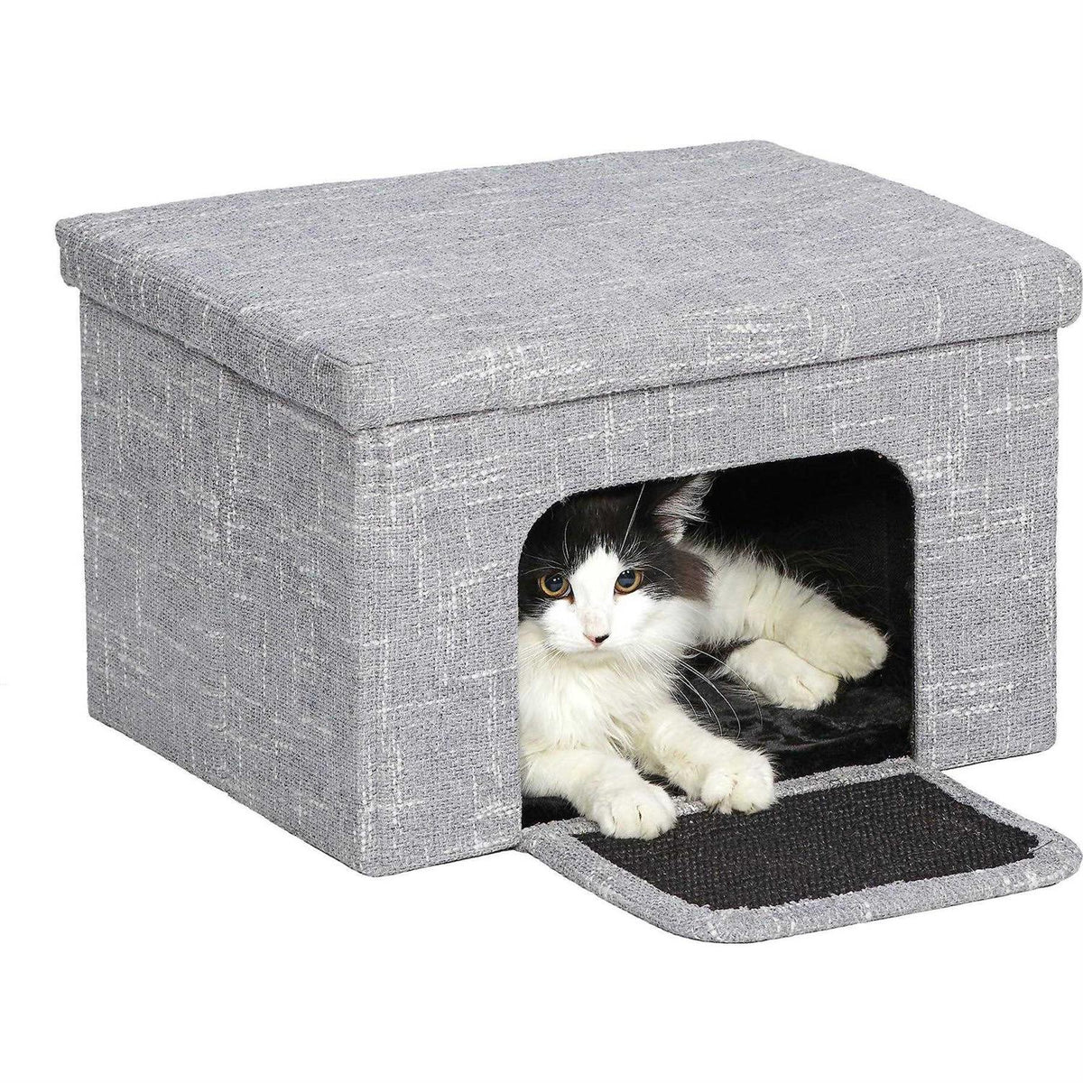 Curious Cat Cube T301037