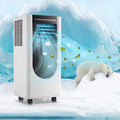 5000BTU Portable Air Conditioner with Dehumidifier & Fan W435