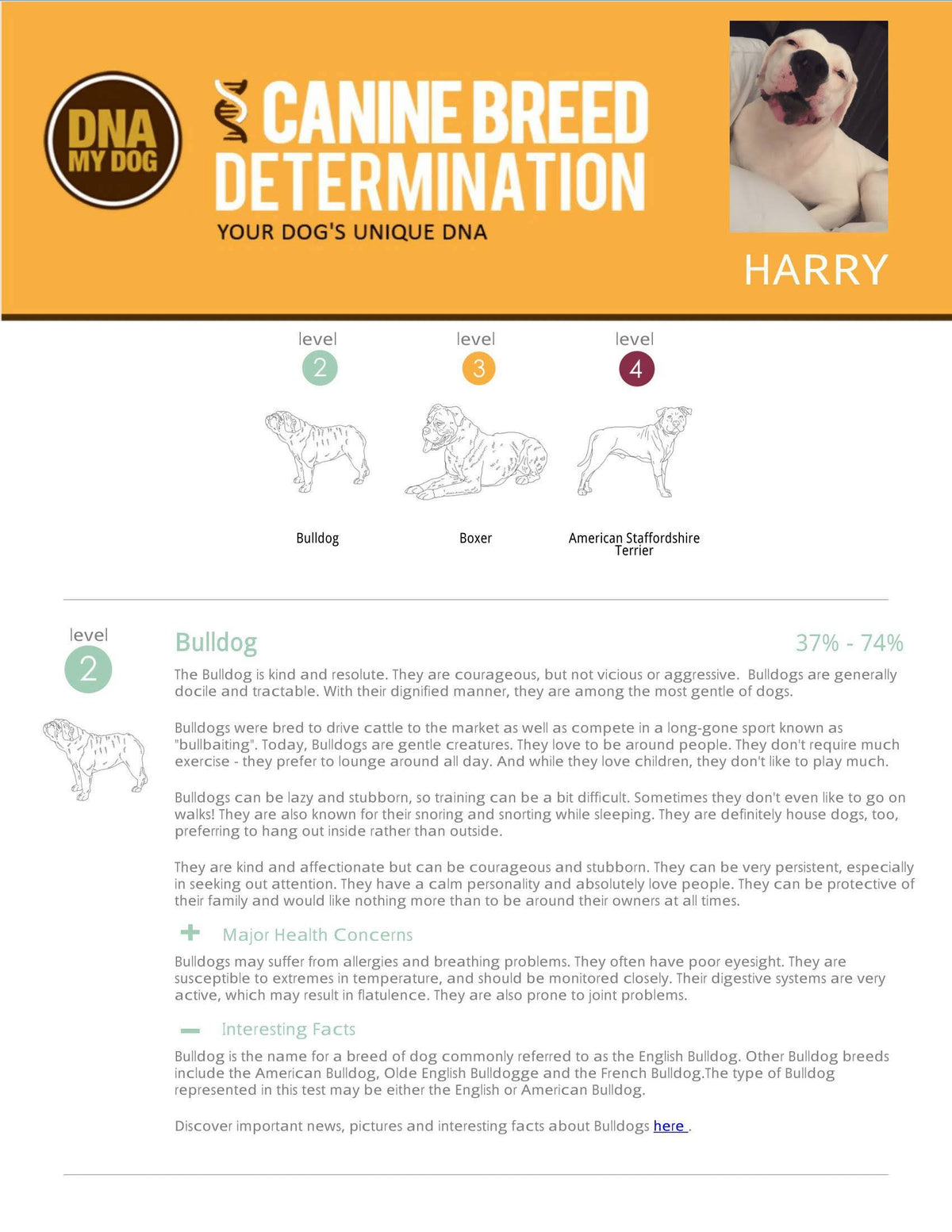 Breed Identification Test Kit E329