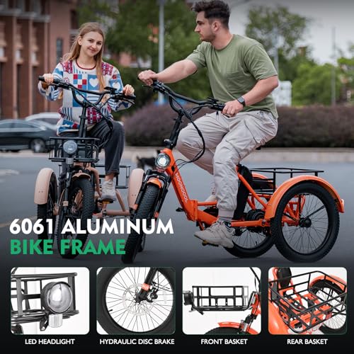 500W 48V Folding Aluminum Frame Electric Tricycle with Large Basket and Removable Battery Z865