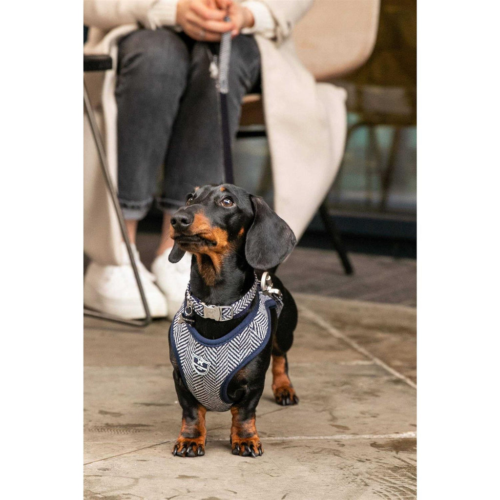 Tweed Dog Harness Vest E6559