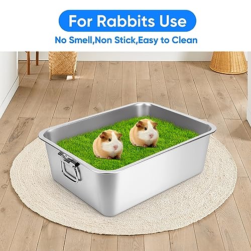 Stainless Steel Litter Box with Handle, 17.5" L x 13.5" W x 6" H, Non Stick Smooth Surface A65637