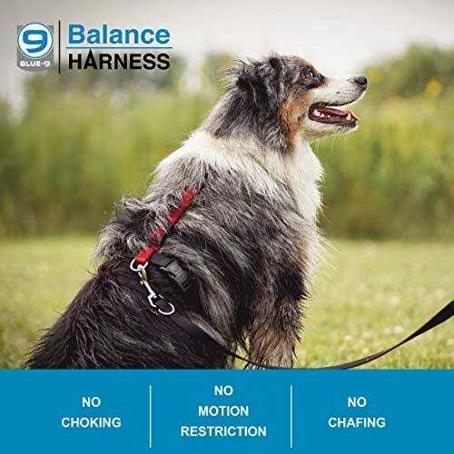 Buckle-Neck No-Pull Dog Harness K2492