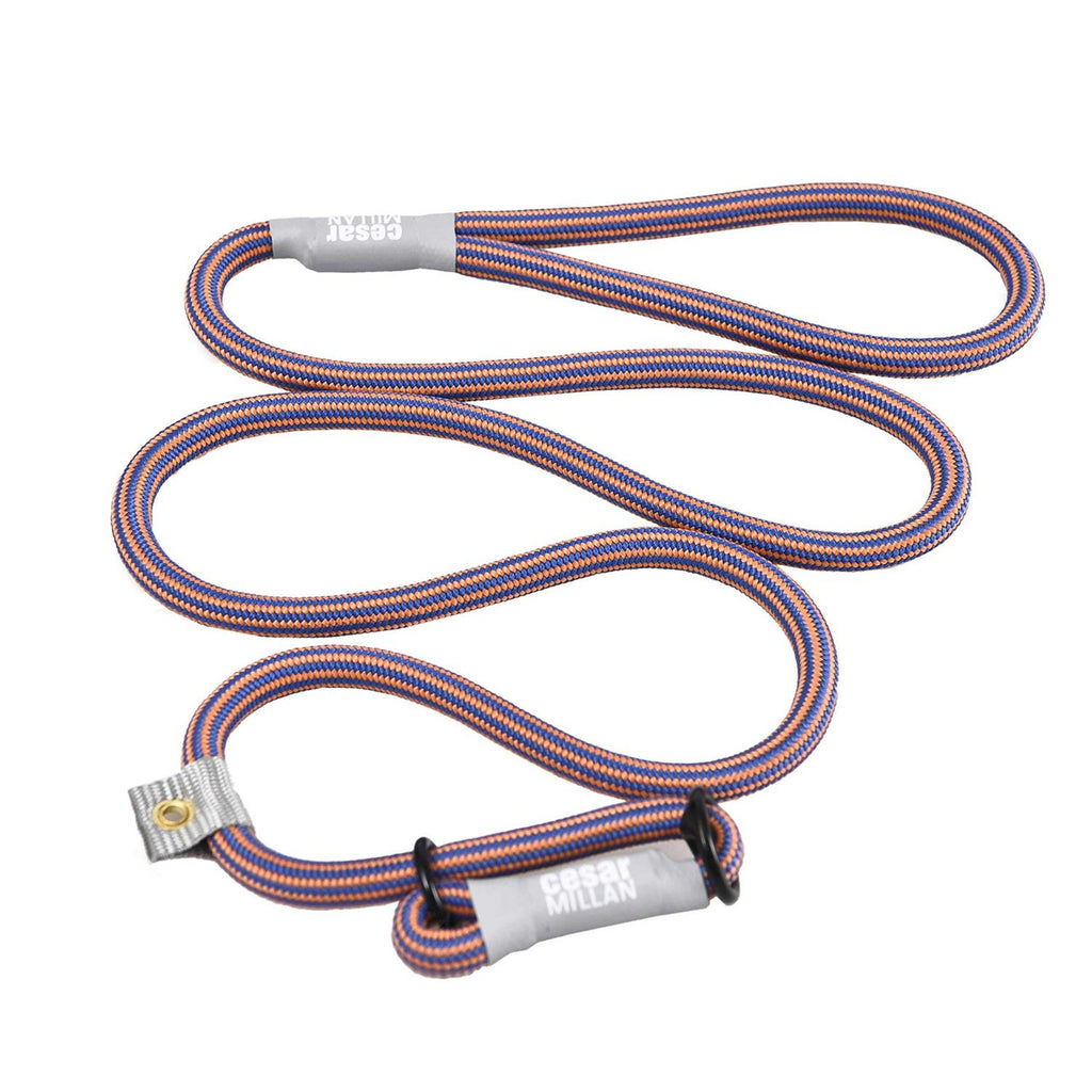 Slip Lead Leash 2-in-1 Dog Training Lead & Collar V92874