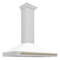 48 Inch Stainless Steel Range Hood with White Matte Shell P858178
