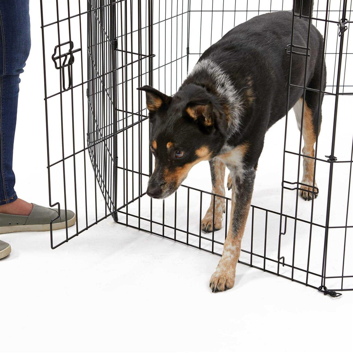 Contour Exercise Pen with Door for Dogs X827
