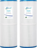 Spa Filter Cartridge 2 Pack K75554