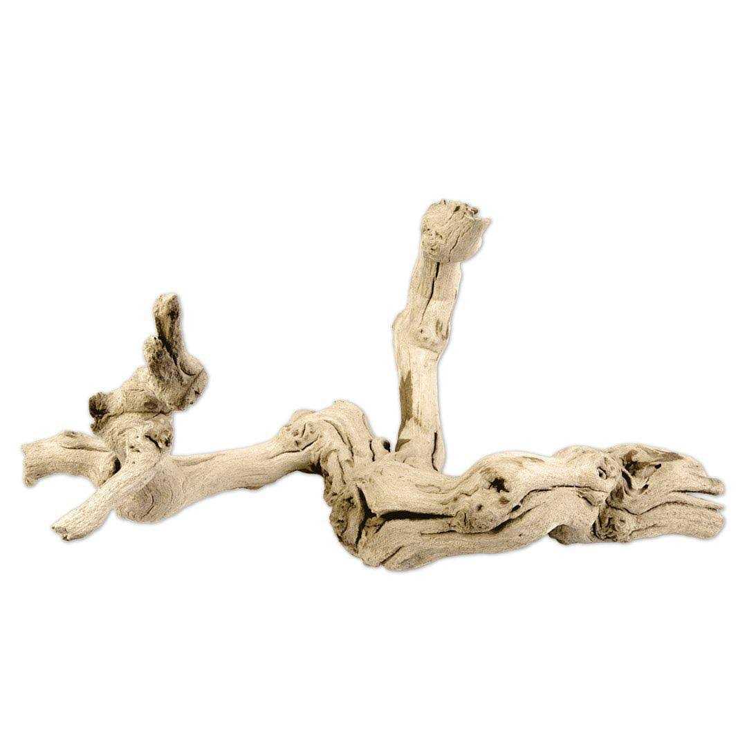 Grapewood Branch F368