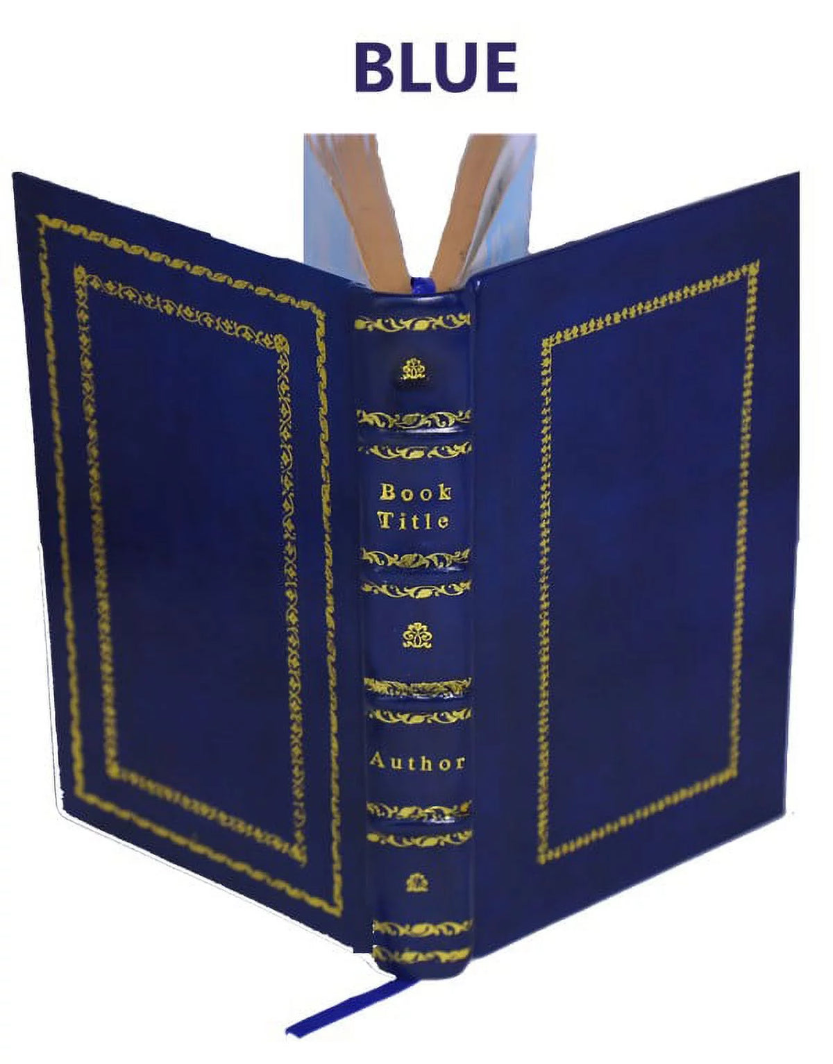 Memoirs of Walsingham Secretary of State 1695 Premium Leather Bound N1459
