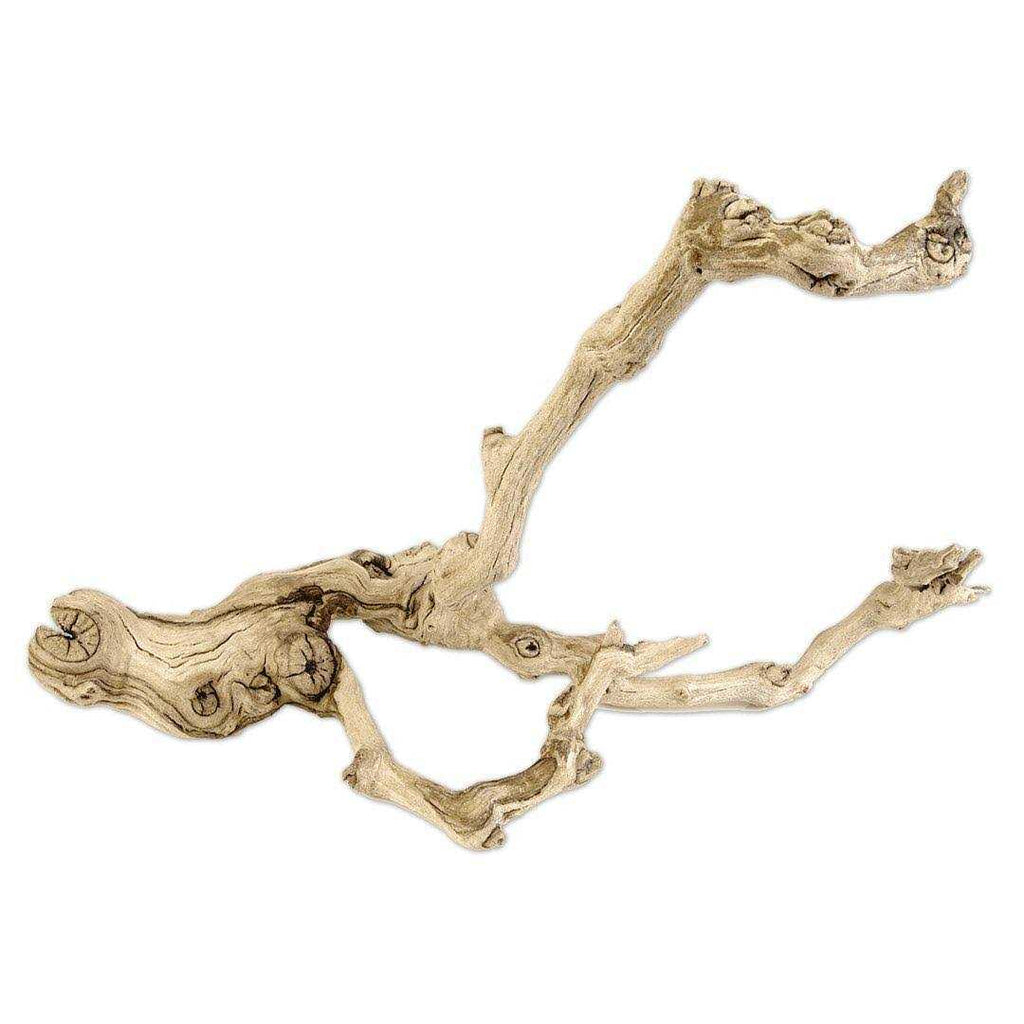 Grapewood Branch F368