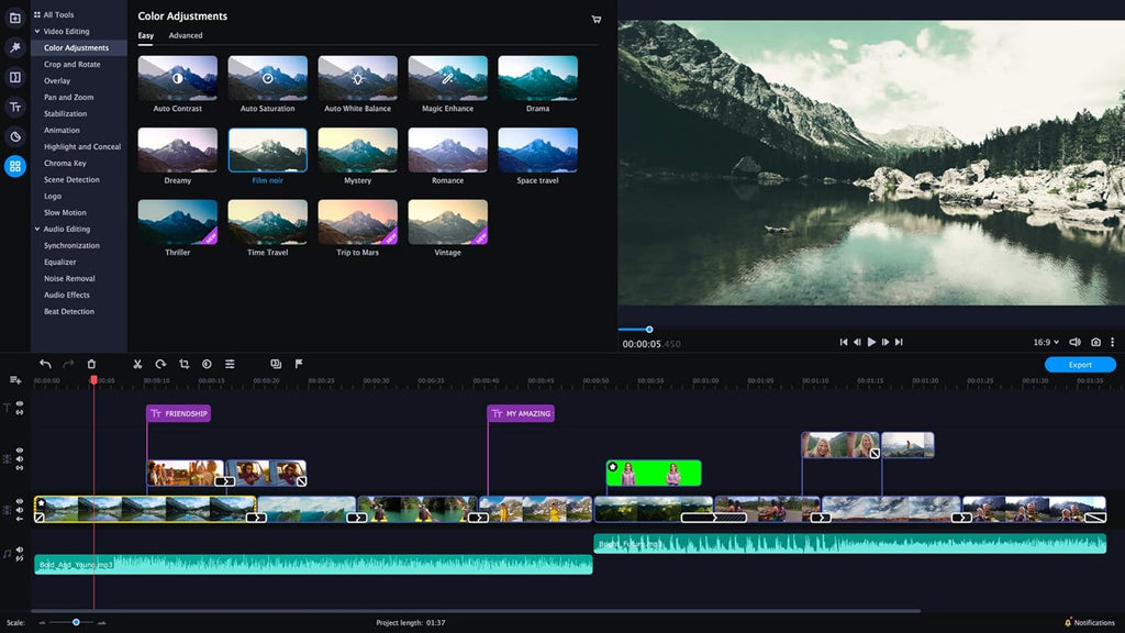 Video Editor Plus Personal license D889221