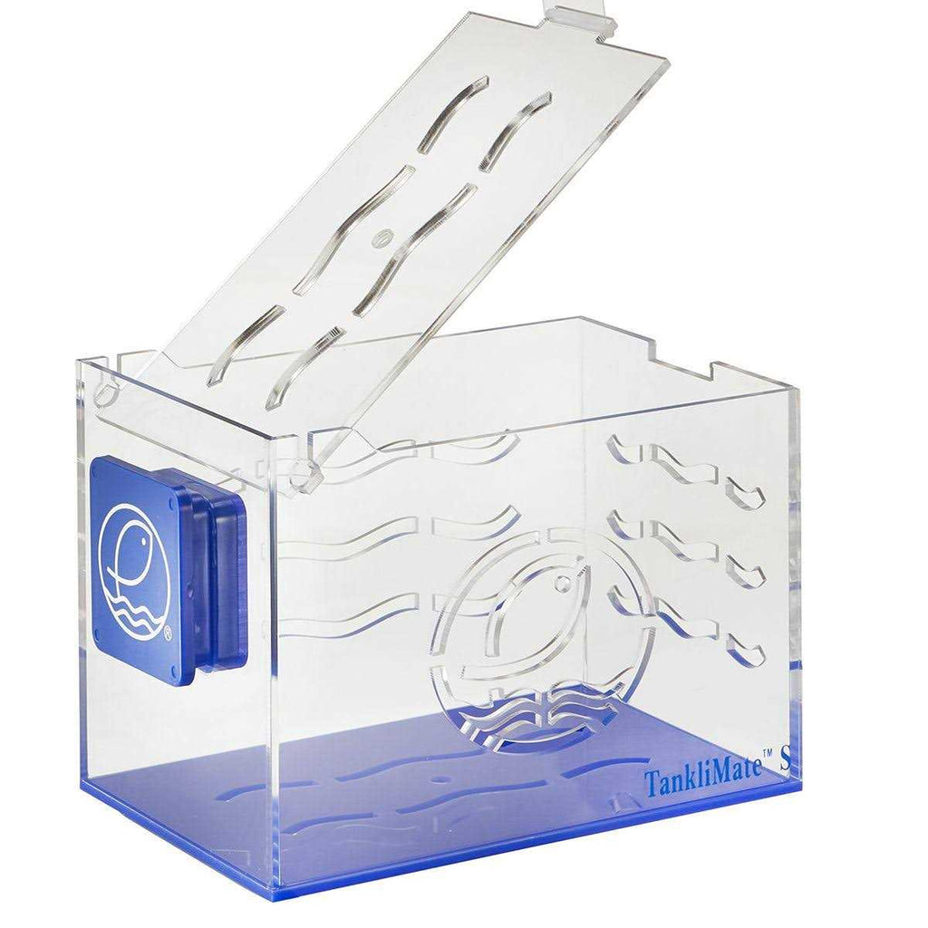 Acclimation Box L661559